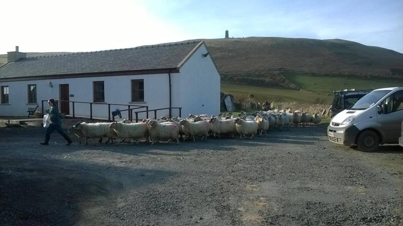 Patrick Knockaloe Beg Farm B&B 외부 사진