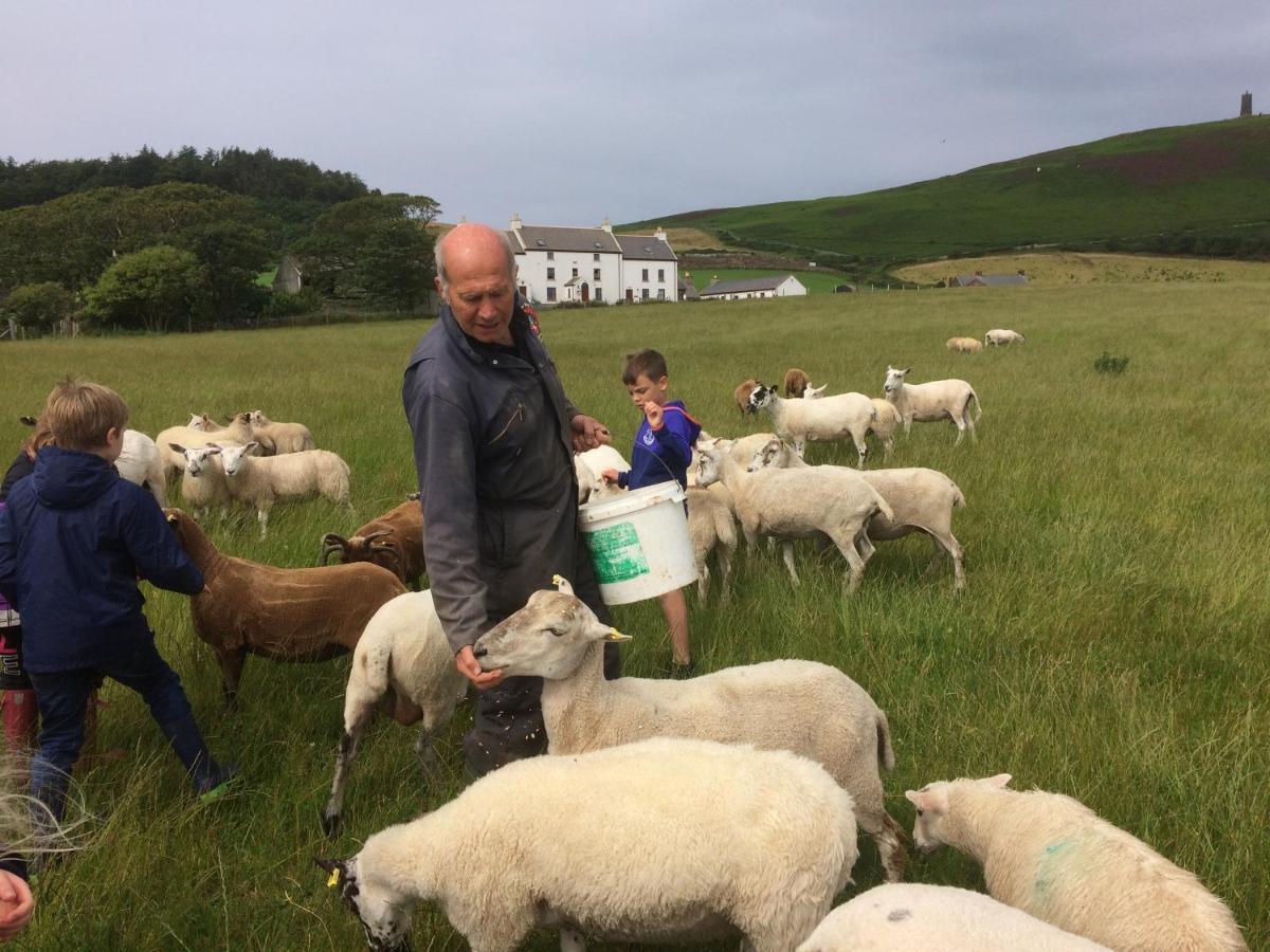 Patrick Knockaloe Beg Farm B&B 외부 사진